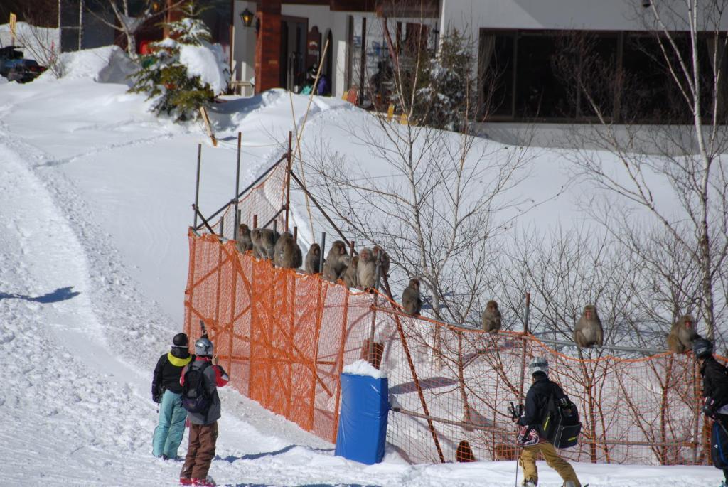 Aspen Shiga Hotel Yamanouchi  Exterior photo